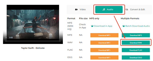 Téléchargement YouTube en WAV avec AceThinker